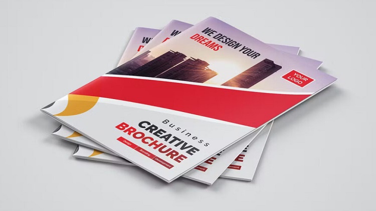  Brochure Design